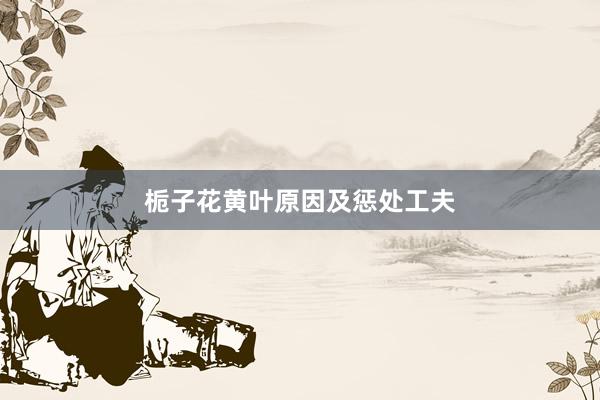 栀子花黄叶原因及惩处工夫