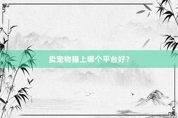 卖宠物猫上哪个平台好？